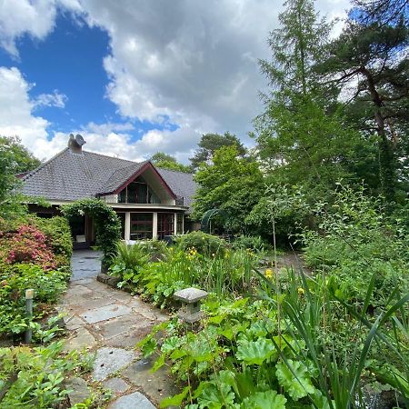 Sjieke Gezellige Villa In Het Bos Lieshout 外观 照片