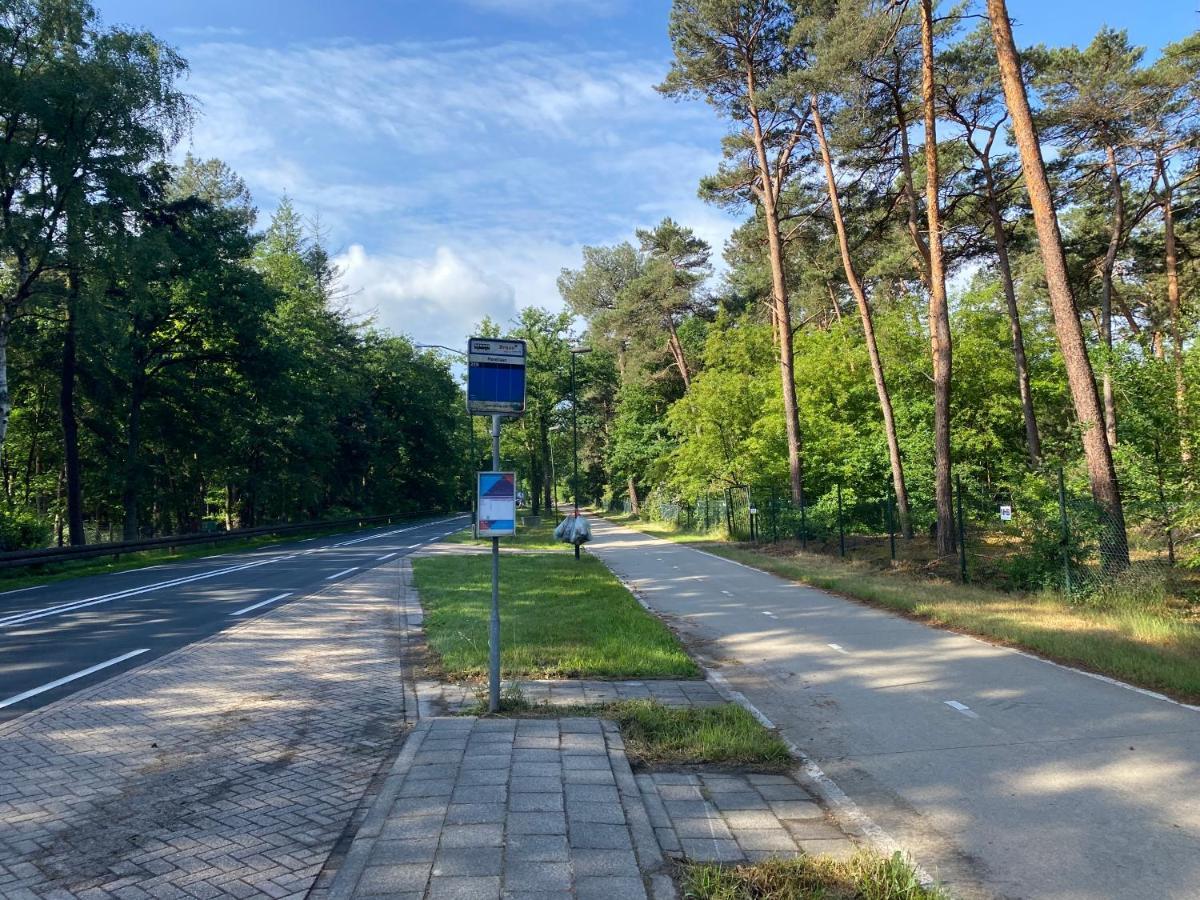 Sjieke Gezellige Villa In Het Bos Lieshout 外观 照片
