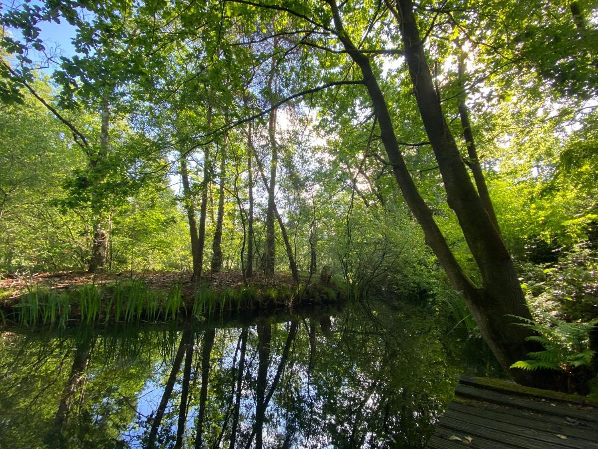 Sjieke Gezellige Villa In Het Bos Lieshout 外观 照片