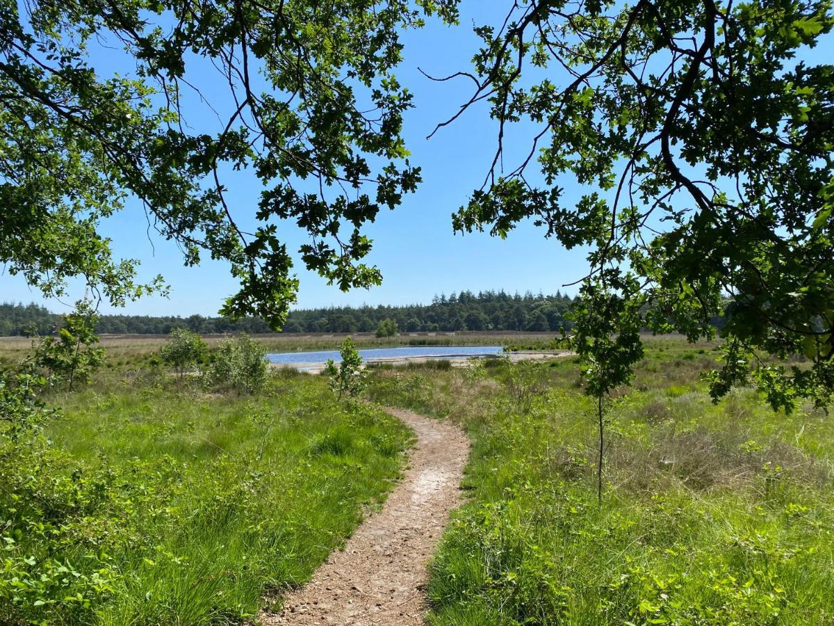 Sjieke Gezellige Villa In Het Bos Lieshout 外观 照片
