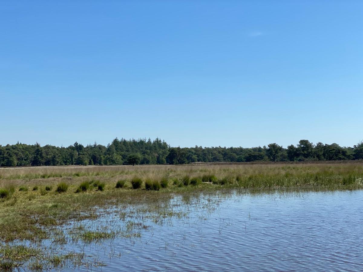 Sjieke Gezellige Villa In Het Bos Lieshout 外观 照片